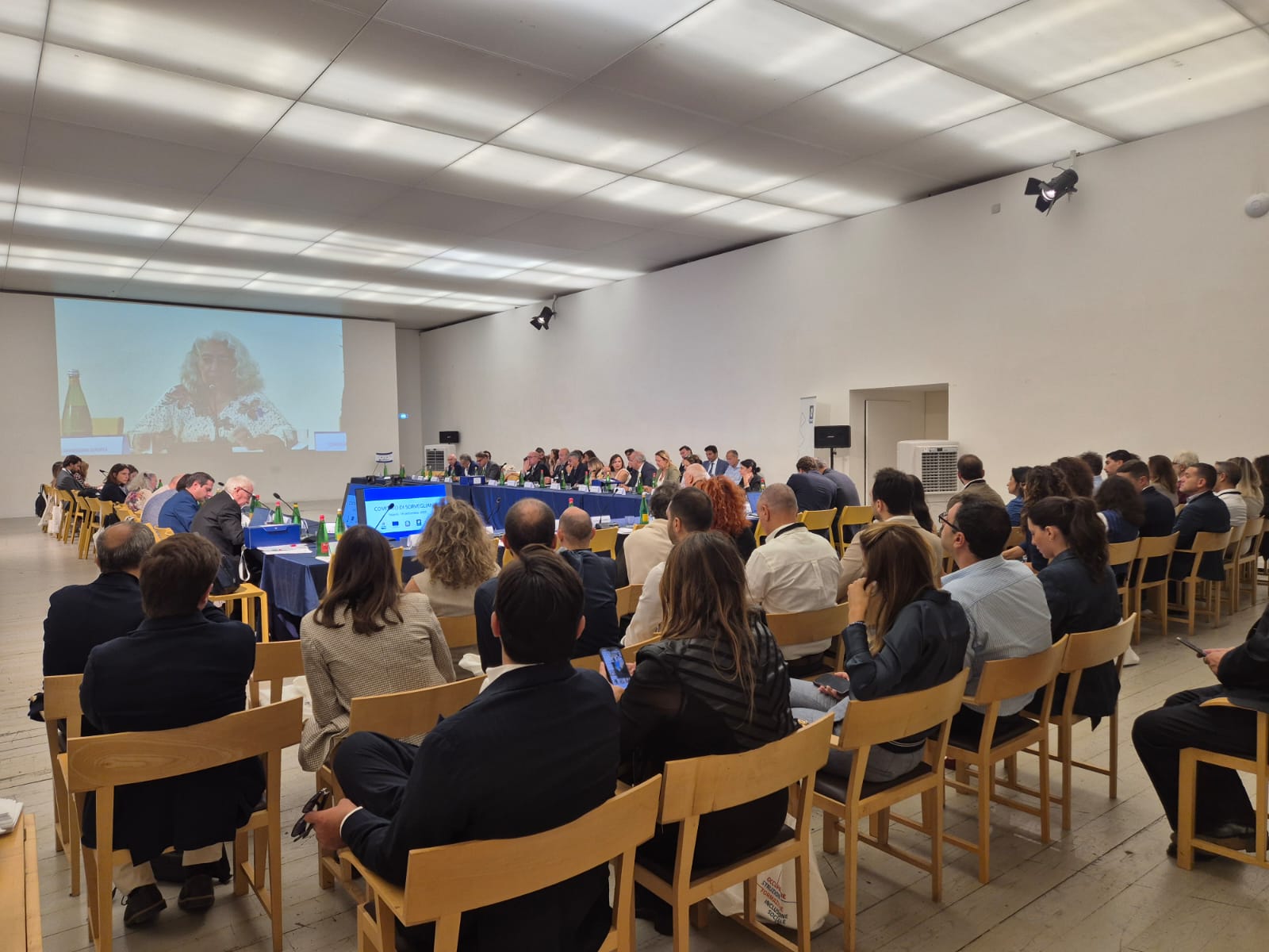 Riunione del Comitato di sorveglianza FSE PLUS 2025: Campania al primo posto per risorse impegnate