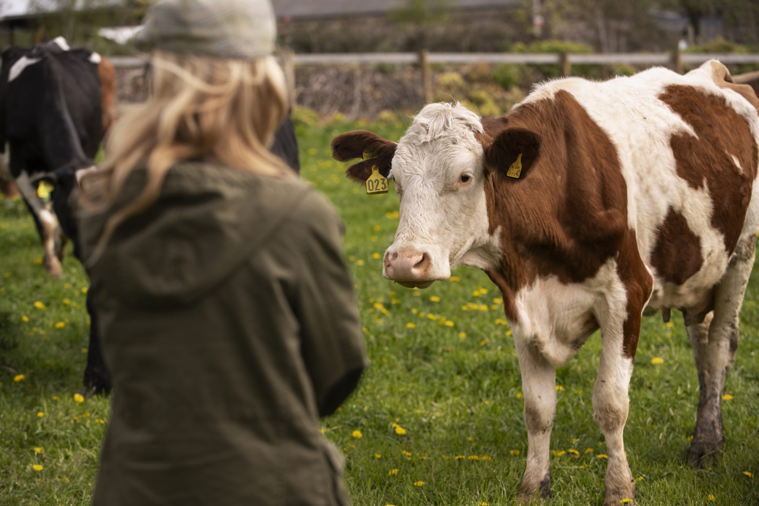 Transformación y comercialización de productos agrícolas y agroturismo, más recursos para las empresas